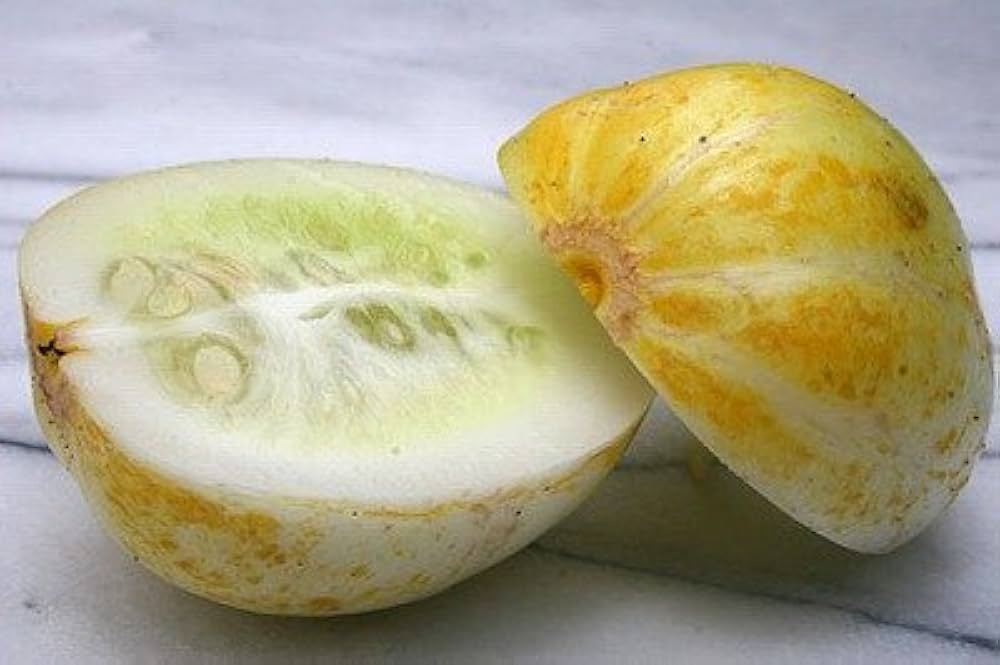 Amazon.co.jp: 植物種子 レモンきゅうり 種 6粒 : DIY・工具